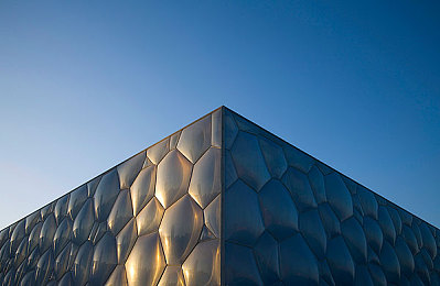 蝴蝶忍被鬼繁殖的解决方法：珍稀蝴蝶遭遇危机，专家支招拯救生态