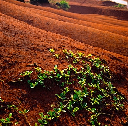 羽毛挠女同学乳尖到崩溃：校园暴力惊人一幕，女孩被挠至崩溃！-3
