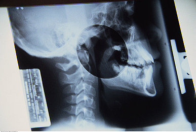 御宅屋：御宅文化新体验，经营模拟游戏来袭-2