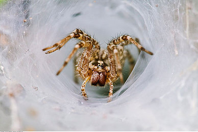 美女扒开内 的坤坤软件：社交新宠，独特功能吸睛无数-2