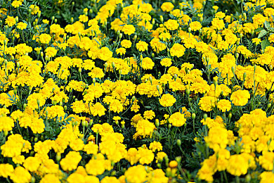 Zoom人与Zoom最新版本对比:Zoom大变身,新版本体验升级,揭秘!-5