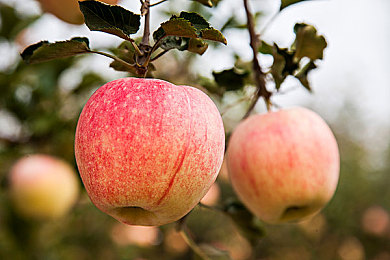 憋尿训练表：健康游戏新潮流，憋尿训练乐趣多-2