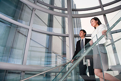 蝴蝶忍被鬼繁殖的解决方法：珍稀蝴蝶遭遇危机，专家支招拯救生态-2