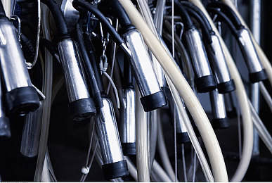 杨玉环的三 A大乳影片：唐朝美女杨玉环：影片真相引发热议-2