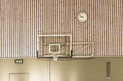 美女被 到爽 流触手游戏：美女畅玩触手游戏，爽快体验引关注-3