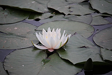 老太婆脱裤子让我桶她：寒日温情：小伙暖身暖心，网友点赞泪目-2