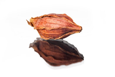 暴走黑料page:真相追踪者:揭秘网络正义新阵地-5