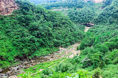 麻花传M0044苏蜜清歌:音乐蜕变,苏蜜歌声燃情剧情-2