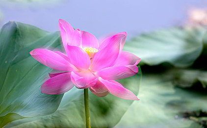 班长让我把手伸到她的：校园暖心：班长援手同学，传递友谊力量