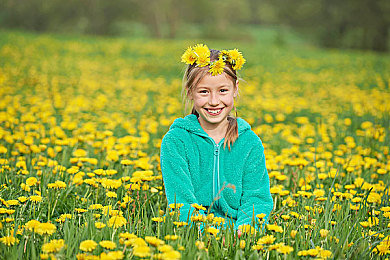 十大黄软：揭秘：十大黄软，多功能软件新宠-3