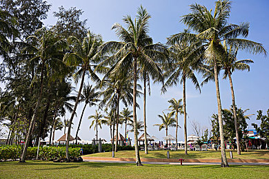 405060阿姨荒野大镖客:阿姨荒野探险传奇-4