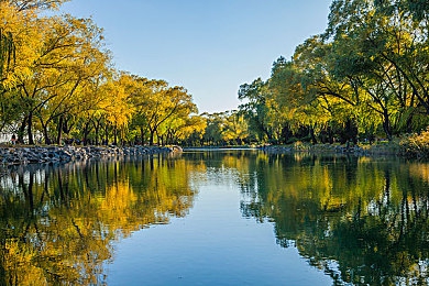 天天搞天天干：专注创新，品质卓越企业崛起-3