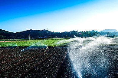 打扑克又叫又疼的视频原声版下载:搞笑扑克比赛,欢乐原声版来袭-3