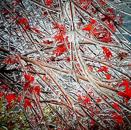 黑科社区最新版本更新内容介绍：黑科社区全新升级，畅享科技盛宴-5