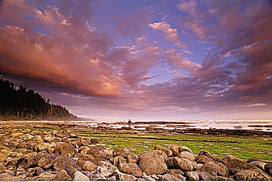 饥渴少妇沟引水电工：水管维修生情愫，夫妻能否原谅他？-1