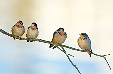 娇妻被按摩师进入征服:按摩师治愈疲惫,职场女性感叹身心焕新-4