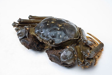 好 色 先 生T·V：都市男情感揭秘，笑声中见真章-5