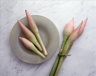 欧美 巨大 房乳 挤奶：牛奶革命：新科技提升产量，环保又高效-4