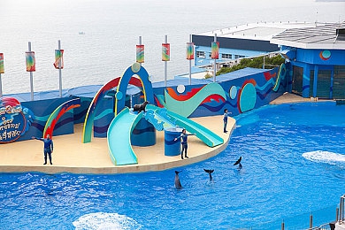 饥渴少妇沟引水电工：水管维修生情愫，夫妻能否原谅他？-3