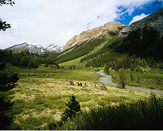 娇妻被按摩师进入征服:按摩师治愈疲惫,职场女性感叹身心焕新-5