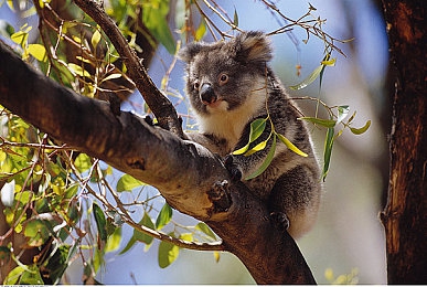 饥渴少妇沟引水电工Av：都市水电工，温情暖人心-5