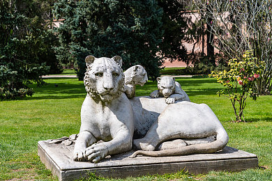 茶杯狐 cupfox - 努力让找电影变得简单沈腾：电影搜索神器，沈腾点赞！-4