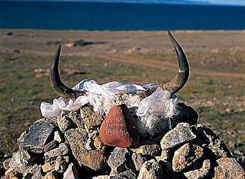 医生把我弄高潮：《医者仁心》游戏剧情引发热议-5