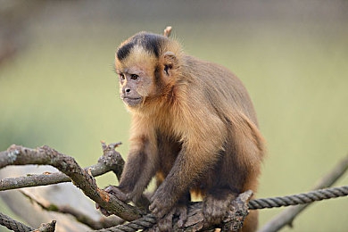 综合二区：新区开启，冒险启程-3