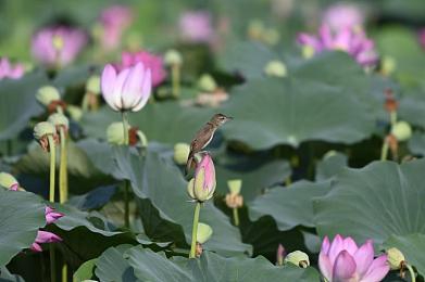 天天搞天天干：专注创新，品质卓越企业崛起-4