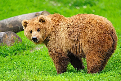 天天干天天要:生活新趋势,效率健康双丰收-2