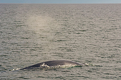 校花夹震蛋上课爽死h女女：校花淡定夹震蛋，课堂瞬间变焦点-2