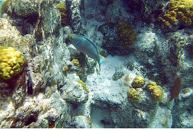 老阿姨高清在线观看电视剧法游戏：都市情感剧《老阿姨》热播，互动游戏吸睛不断-5