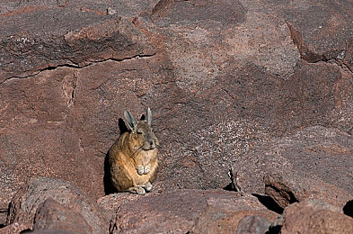 美杜莎3dmax动漫：神秘美杜莎，3D盛宴来袭-3