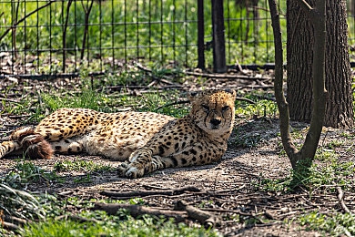 班长让我揉她 脱她衣服：校园养成新潮流，情感漩涡谁主沉浮-3