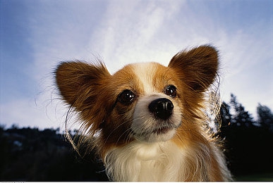 男生和女生一起差软件：游戏新潮流，男女共战奇幻世界-4