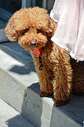 火辣辣app福引导welcome2021：新年活动来袭，火辣辣APP趣味任务赢丰厚奖励-2