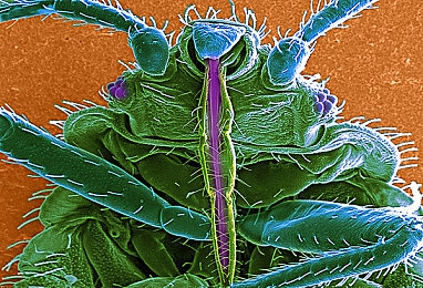 哔哩哔哩情侣进入高峰期：B站情侣激增，揭秘二次元爱情魅力-2