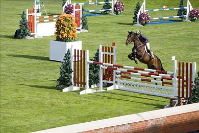 5G天天爽：5G来袭：速度革命，生活大不同-2