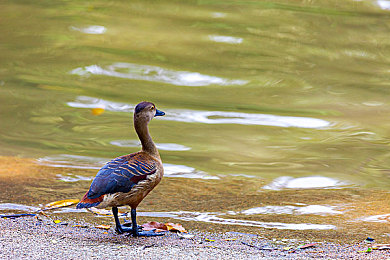 男生女生搓搓：指尖减压新潮流，搓出欢乐与友谊-2