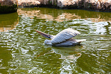 明里紬人妻出差侵犯:高层出差惊现侵犯,企业如何自保?-4