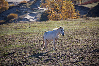 成品人与精品人的思维导图:揭秘:成品人与精品人,差距在哪里?-3