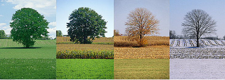 雏鸟圆你一个萝莉梦：萝莉风服饰新潮流，雏鸟品牌引领时尚风尚-2