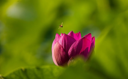 3p被两个男人换着玩：都市娱乐场惊现伦理丑闻，道德底线何在？-2