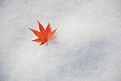 黄色的应用：游戏新潮流，黄色应用崛起，趣味无限！-2