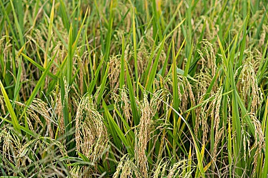 男生女生差差APP：男女差异新平台，社交新体验来袭-3