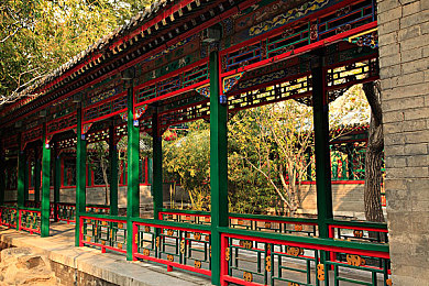 中国 自由 西元管:改革浪潮下的新管理模式:效率提升与员工满意-1