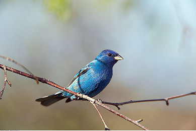 公交车上拨开奶罩揉吮奶头图片：公交惊现不雅行为，道德底线何在？-2