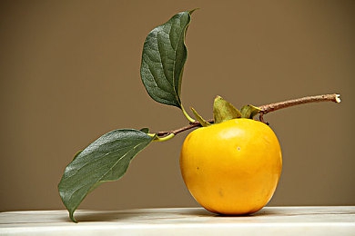 色狐360：古风冒险，社交竞技，一触即达-4