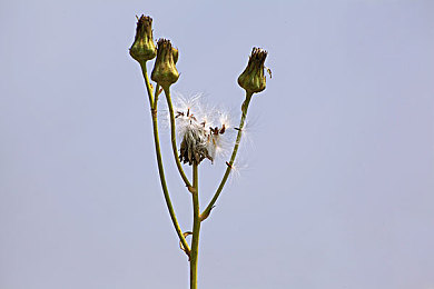 男男跪床 被:情侣跪床,社会争议引关注-3