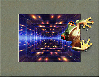 永久区域网名紧急通知：平台大升级！网名变更，新规来袭，快来体验！-3